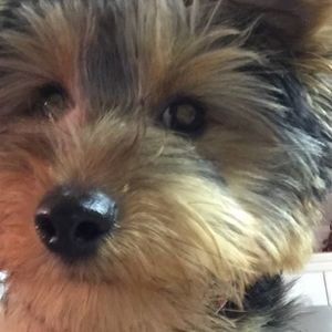 Meet your Posher, Lynn